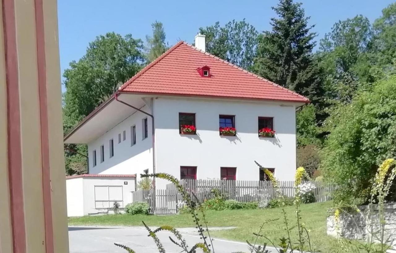 Ubytovani Praschlhaus Horní Planá 외부 사진