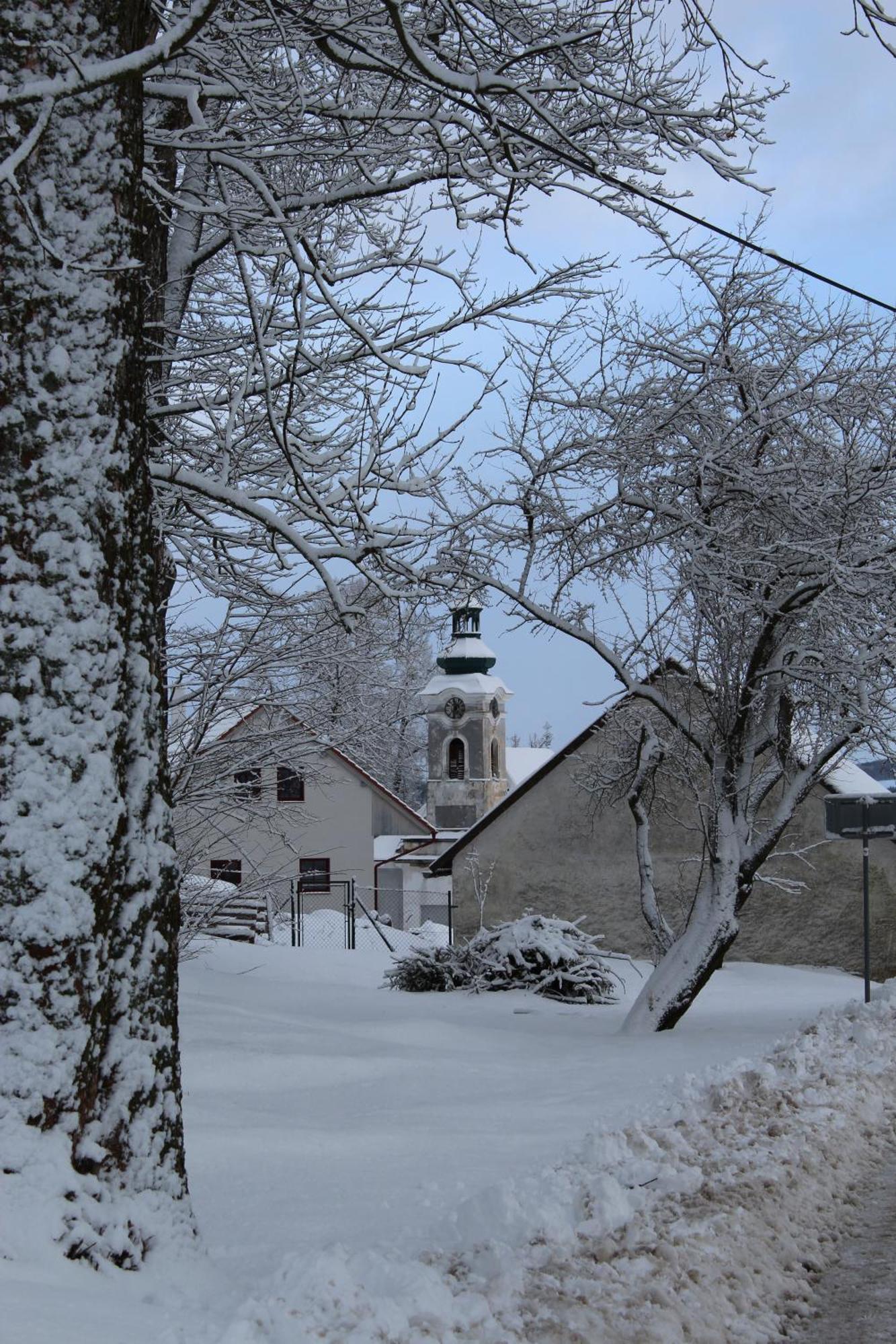 Ubytovani Praschlhaus Horní Planá 외부 사진
