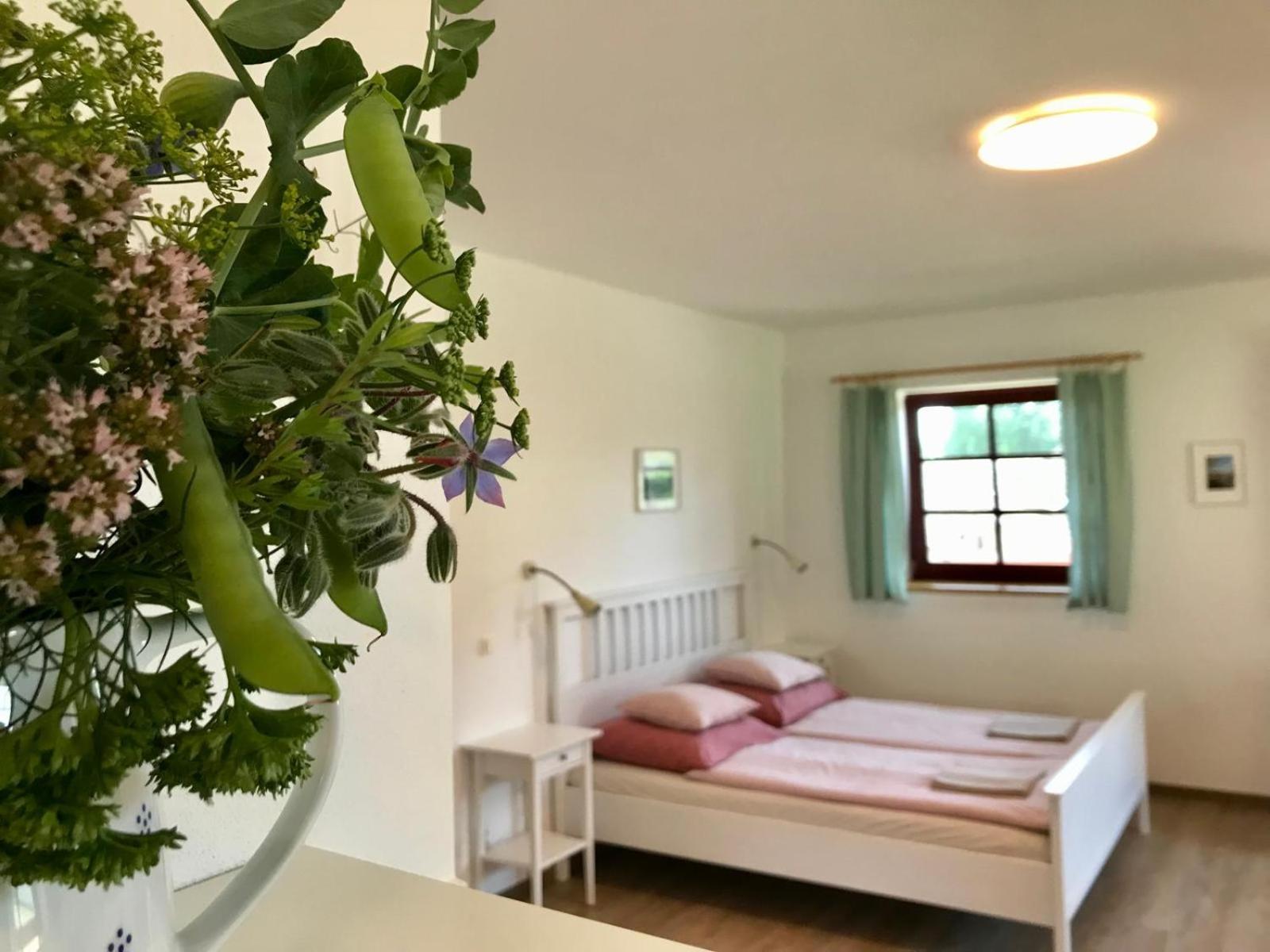 Ubytovani Praschlhaus Horní Planá 외부 사진